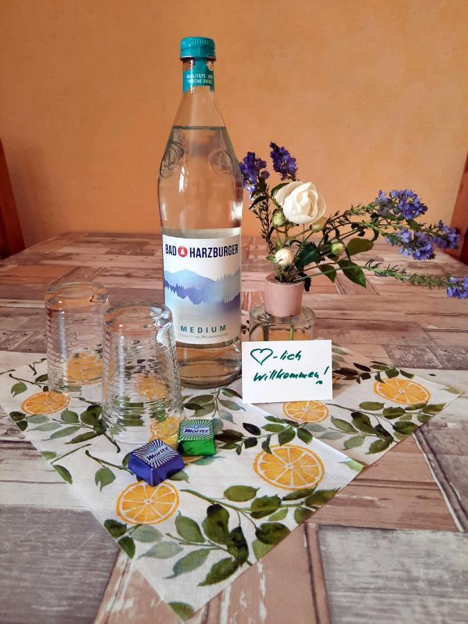 Ferienwohnung Zur Alten Post Lützen Esterno foto